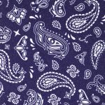 Шкурка для скейтборда Dip Grip PAISLEY VIOLET