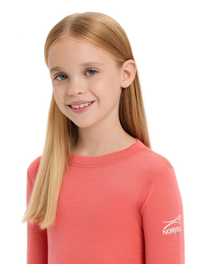 Термобелье детское Norveg комплект Soft