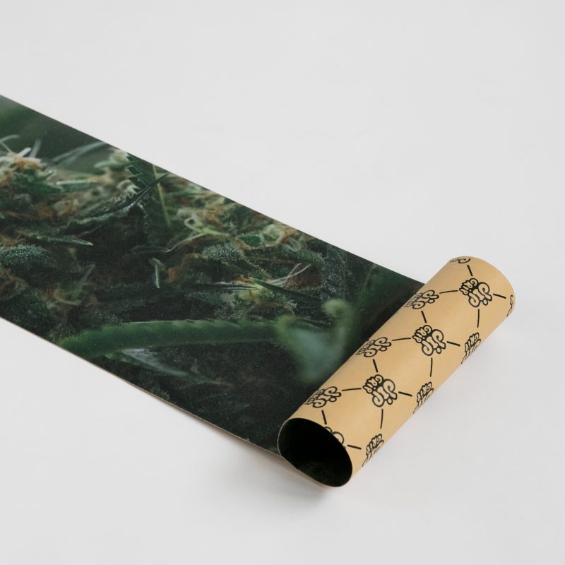 Шкурка для скейтборда Dip Grip MARY