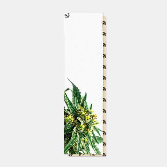 Шкурка для скейтборда Dip Grip WHITE GRASS