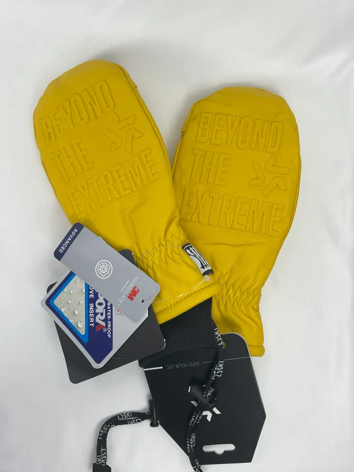 Сноубордические варежки LDSki Retro