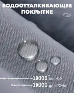 Брюки сноубордические LDSki