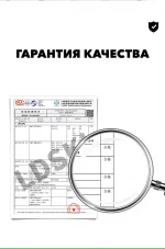 Брюки сноубордические LDSki