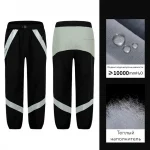 Брюки сноубордические LDSki