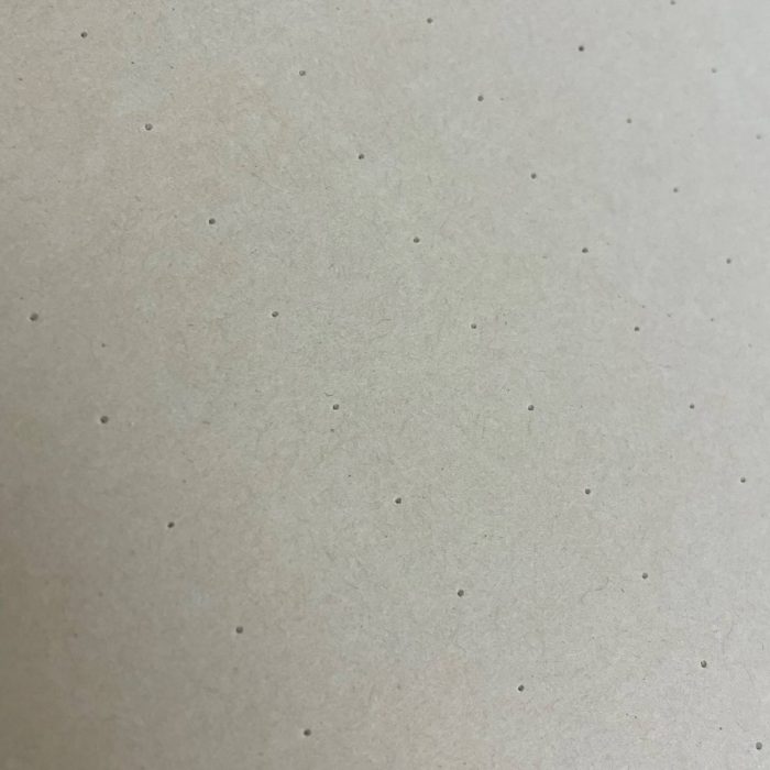 Наждак для скейтборда The Beez Kneez