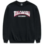 Свитшот Trasher black chest exaggerated letters logo