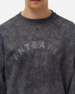 Толстовка ANTEATER Crewneck