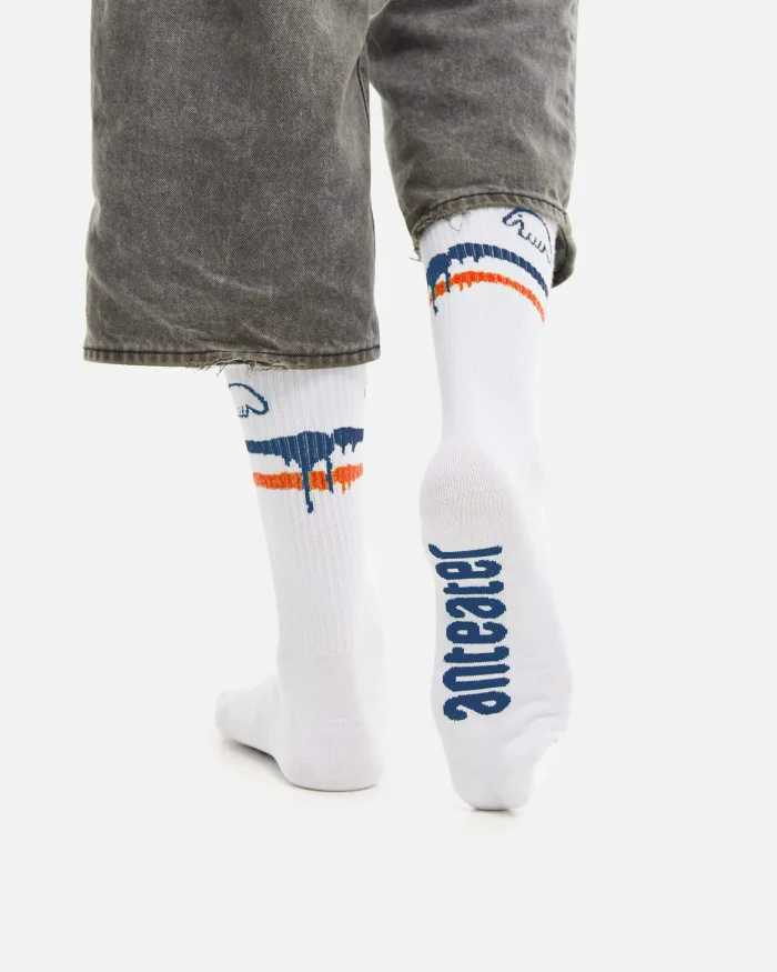 Anteater white stripes socks