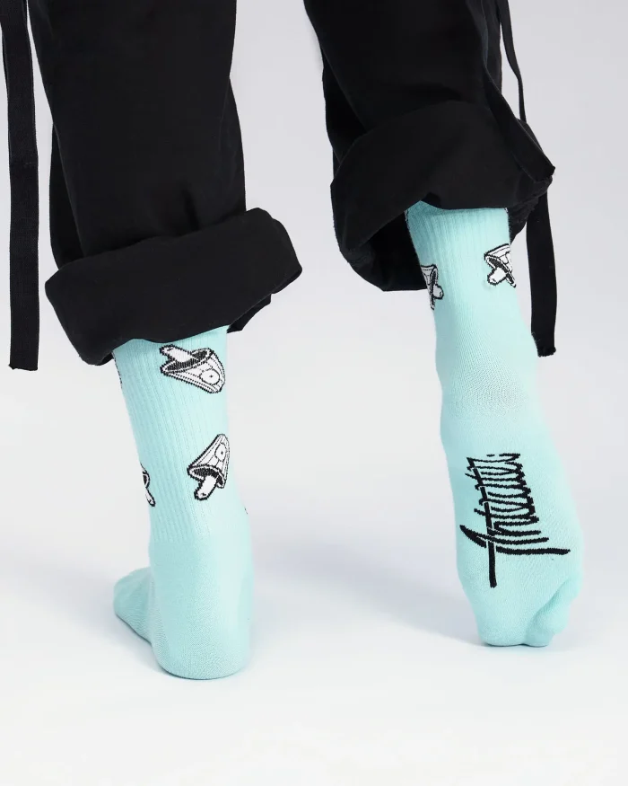 Anteater mint socks