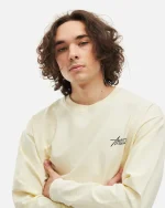 Лонгслив ANTEATER Phat Sleeve