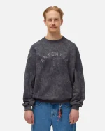 Толстовка ANTEATER Crewneck