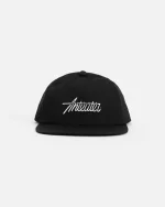 Кепка Anteater Snap back