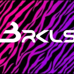 BRKLS-zebra