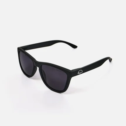 очки Anteater agent черные