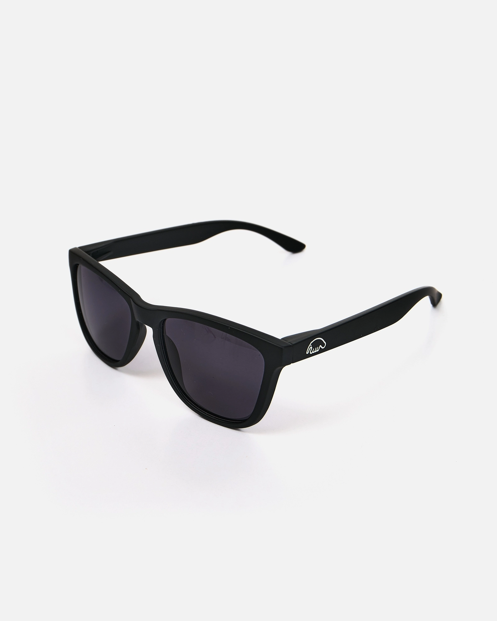 sunglasses-agent-5_результат очки Anteater agent черные